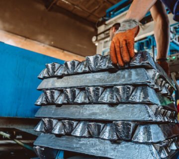 DSC07540 scaled e1669034480851 360x320